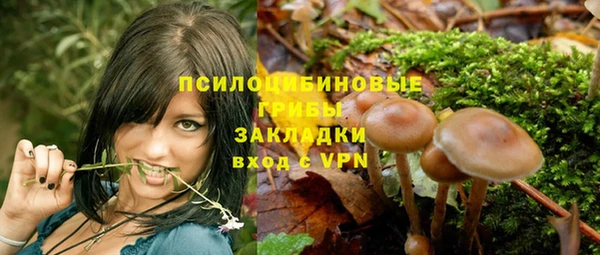 дмт Дмитров