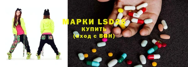 дмт Дмитров
