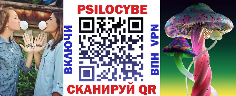 Псилоцибиновые грибы Psilocybe  Купить где  Болхов 